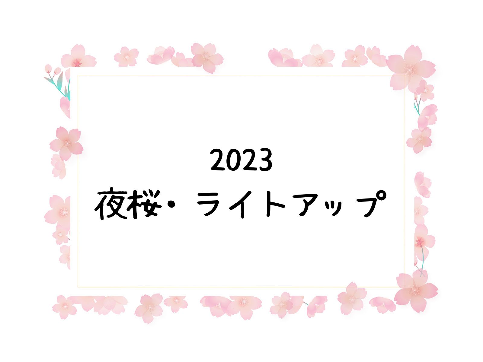 夜桜・ライトアップ（2023）神奈川の名所や穴場スポット１０選！見頃情報まとめ