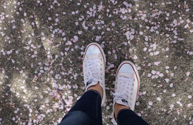 足元の桜の花びらと白いスニーカー